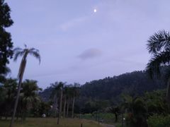 -南沙蒲洲花园