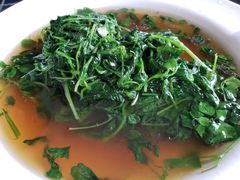 时令野菜-梦缘水乡·湖景餐厅
