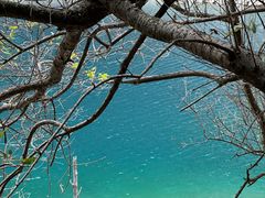 -叠溪松坪沟景区