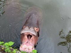 -海南热带野生动植物园