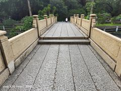 -晓港公园