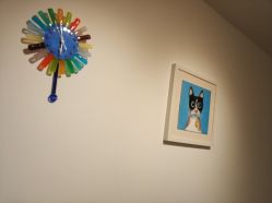 -净漪造型 PURE RIPPLE