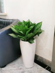 -深圳阳光医疗美容医院·旗舰店