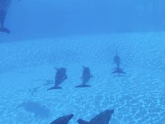 -横琴湾水世界