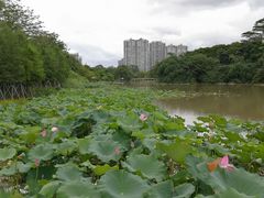 -金山公园