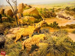 -陕西自然博物馆