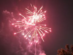 -太湖饭店玉兰厅(自助餐厅)