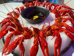 冰镇龙虾-一棠龙虾(徐家汇城开YOYO店)