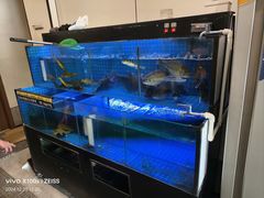 -状元楼(金溪路店)