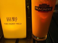 波斯猫-THE PADDY FIELD田野西餐厅(禅城店)