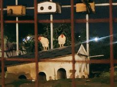 -河北村民俗体验园
