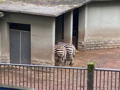 -杭州动物园