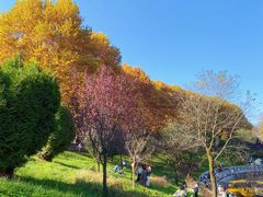 -秦岭终南山世界地质公园翠华山景区