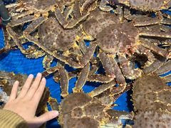 -开海·红岛海鲜虾水饺(石老人店)
