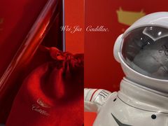 -河南威佳金凯汽车销售服务有限公司