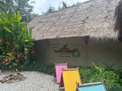 -大象粑粑造纸公园