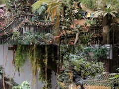 -正佳雨林生态植物园