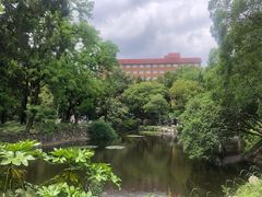 -叶家花园
