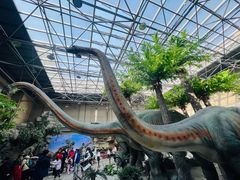 -国家自然博物馆