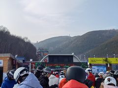 -密苑云顶乐园