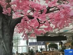 -老磨油饼(高陵店)