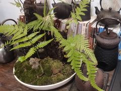 -道南書院·私房菜·早午茶·茶馆