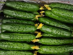 -三旗百汇商品城