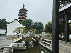 -红梅公园