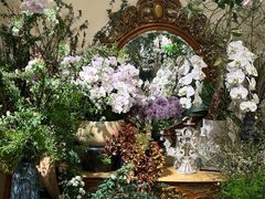 -花二家·生活馆(六运小区店)