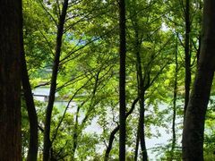 -万达影城(太仓IMAX激光店)