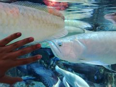 -成都浩海立方海洋公园