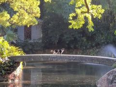 -广州兰圃