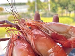 -蟹天蟹地农家菜·阳澄湖大闸蟹(浅水湾店)