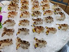 -富来美食