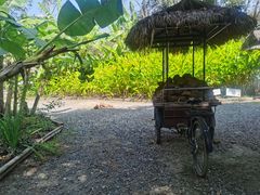 -大象粑粑造纸公园