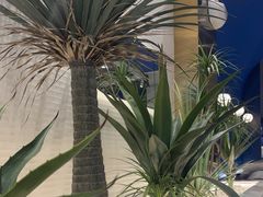 -兰湘子·湘菜小炒(崂山丽达店)