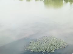 -箸福·夜上海(月牙湖公园店)