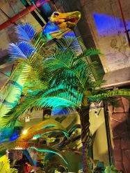 -恐龙探索乐园(磁器口店)