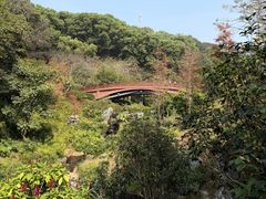 -云溪植物园