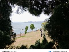 -小麦岛公园