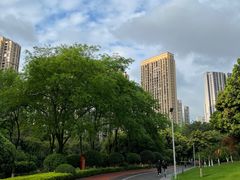 -龙头寺公园