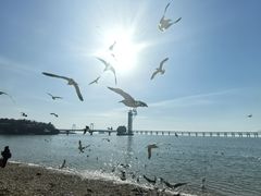 -星海广场