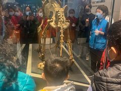 -北京周口店北京人遗址博物馆