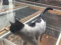 -猫的天空之城概念书店(杭州南宋御街店)