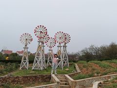 -大塘金香草谷