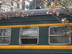 -新天地活力PARK