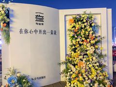 -武汉知音号