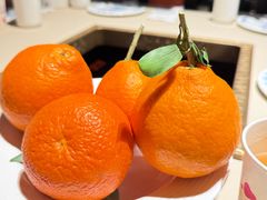 -龙森园火锅(琴台路店)