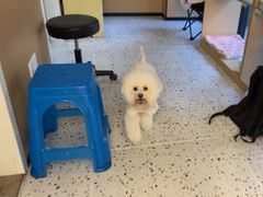 -瑞派康怡24h宠物医院·犬猫医疗中心·微创绝育(瑞景分院)