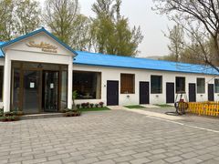 -Sultan pakistan苏单巴基斯坦